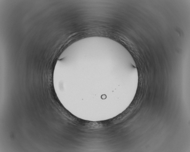 X0000112540421200909281103