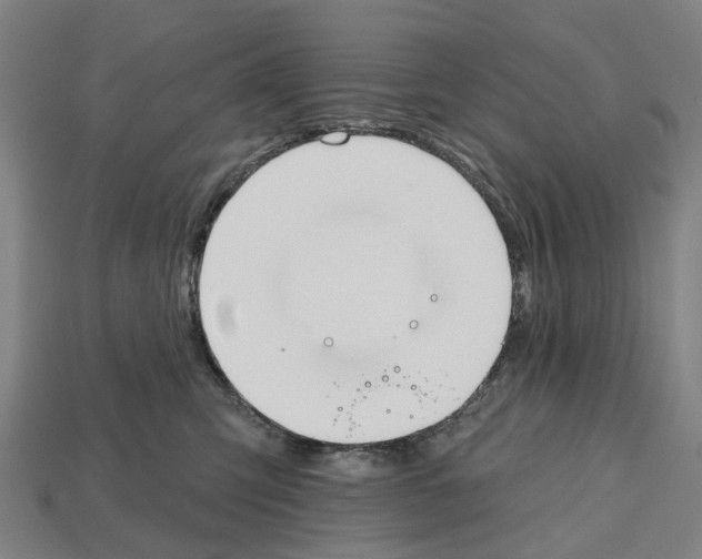 X0000112540423200909281103