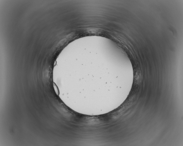 X0000112540424200909281103