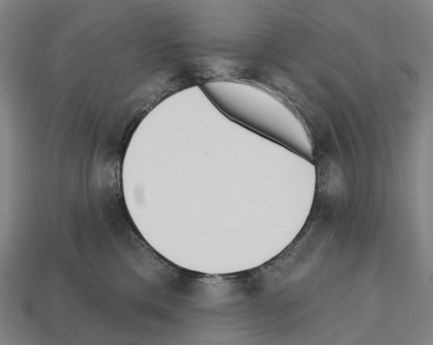 X0000112540425200909281103