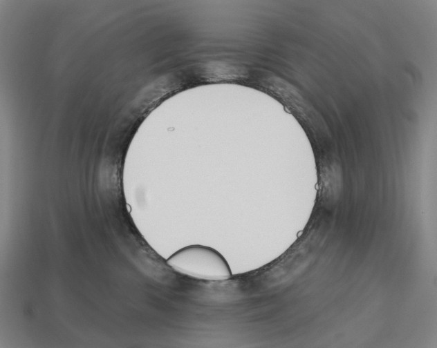 X0000112540426200909281103