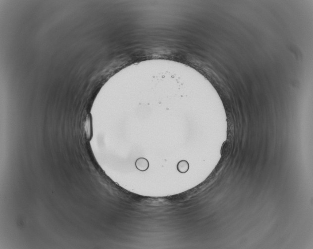 X0000112540427200909281103