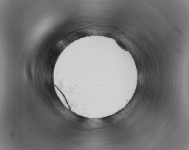 X0000112540429200909281103