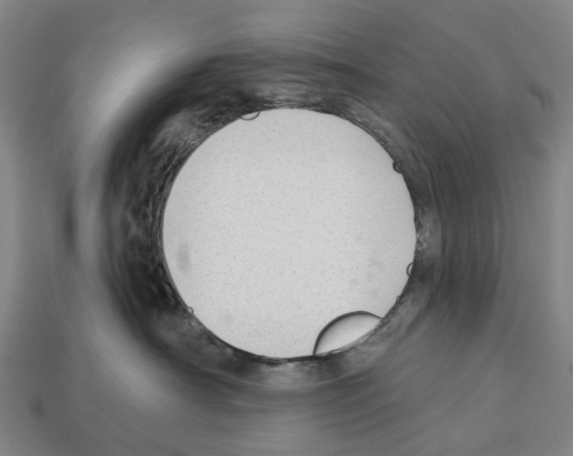 X0000112540430200909281103