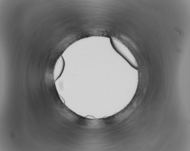 X0000112540432200909281103