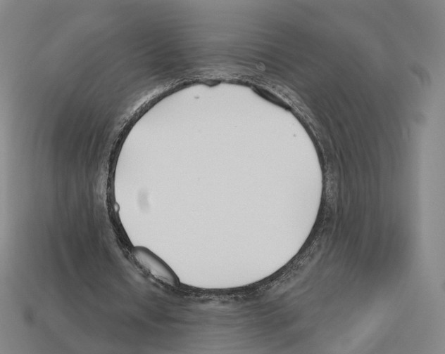 X0000112540434200909281102
