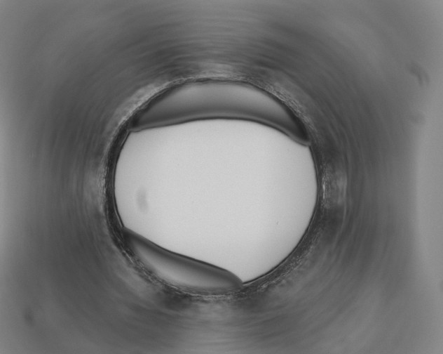 X0000112540436200909281102