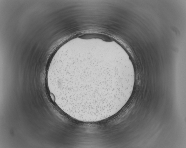 X0000112540437200909281102