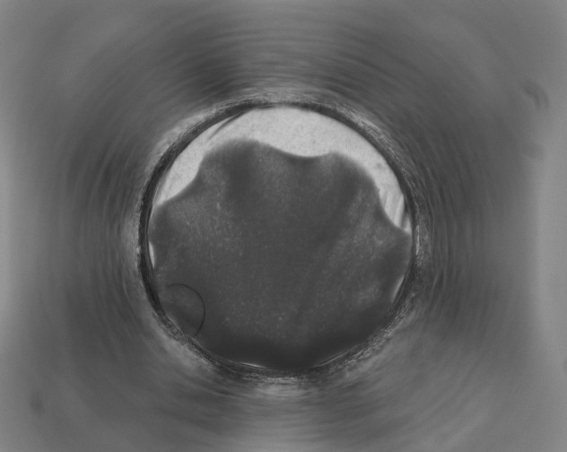 X0000112540438200909281102