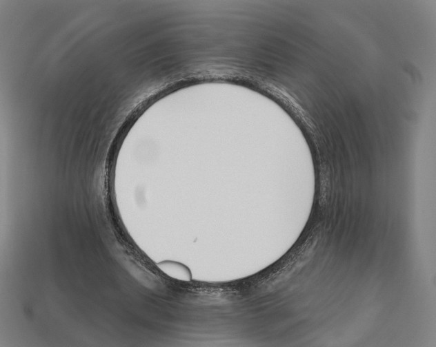 X0000112540439200909281103