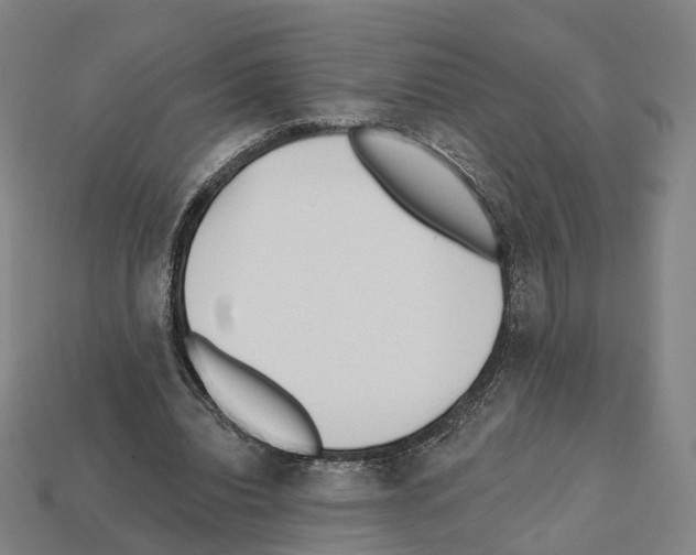 X0000112540440200909281103