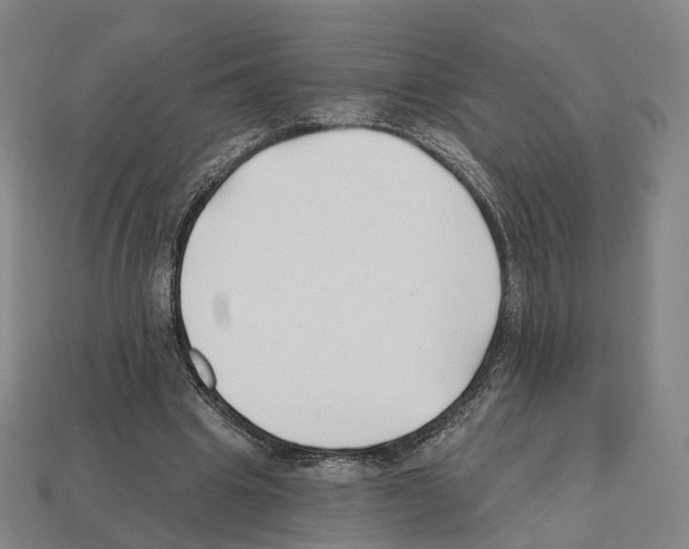 X0000112540441200909281103