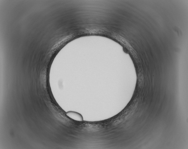 X0000112540442200909281103