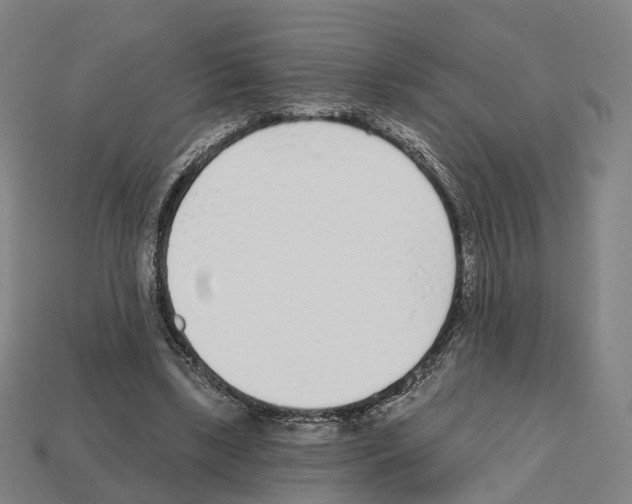 X0000112540443200909281103