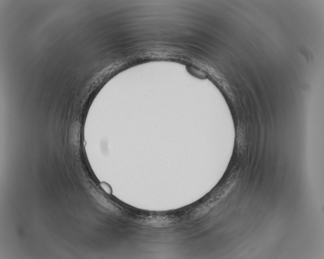 X0000112540445200909281103