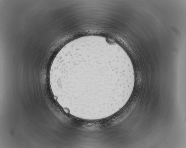 X0000112540447200909281103