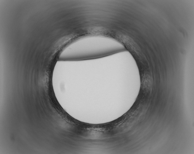 X0000112540448200909281103