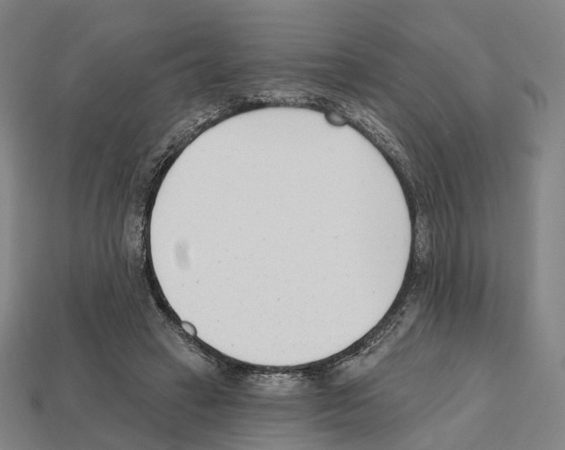 X0000112540449200909281103