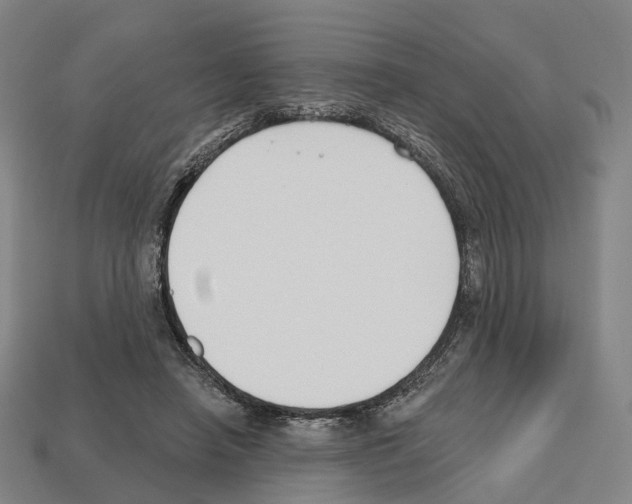 X0000112540450200909281103