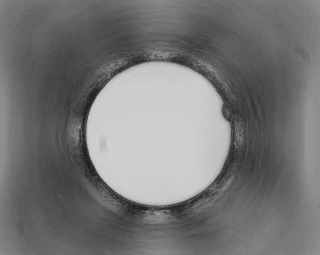 X0000112540451200909281103