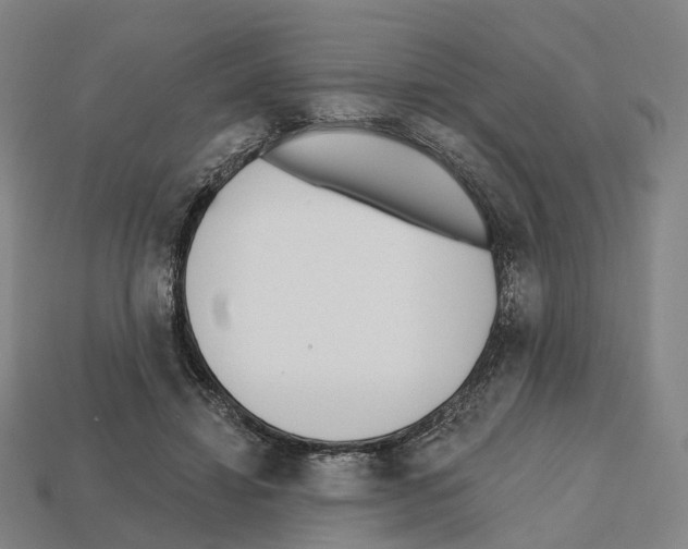 X0000112540452200909281103