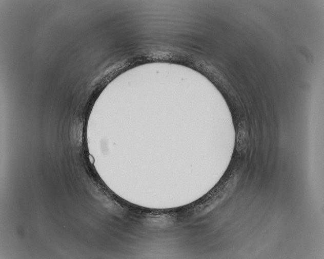 X0000112540454200909281103