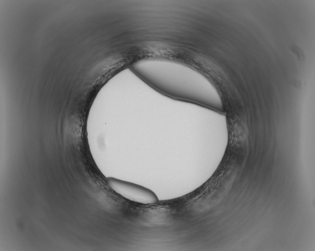 X0000112540456200909281103