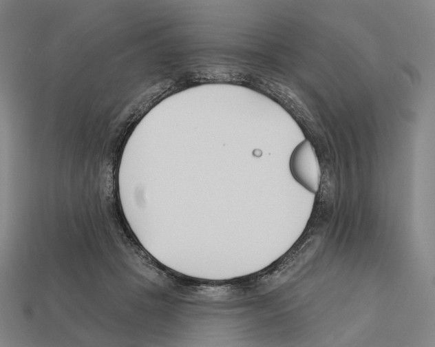 X0000112540457200909281103
