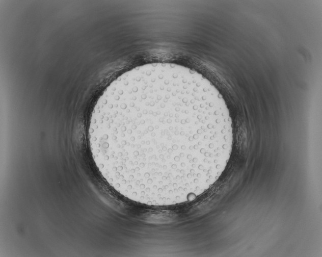 X0000112540459200909281103