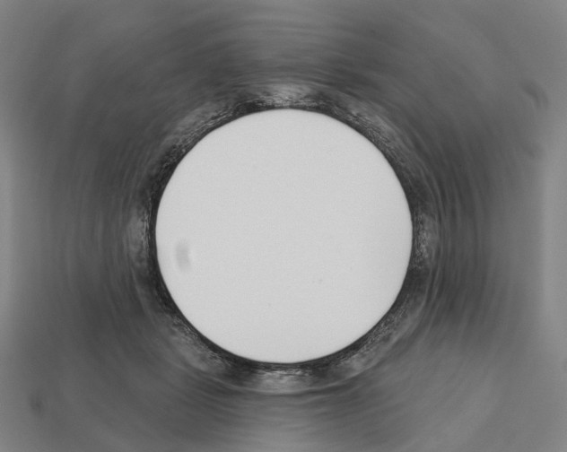 X0000112540461200909281103