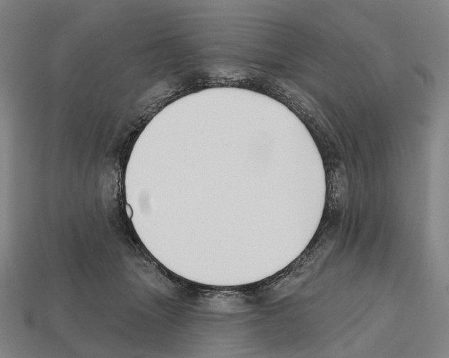 X0000112540463200909281103