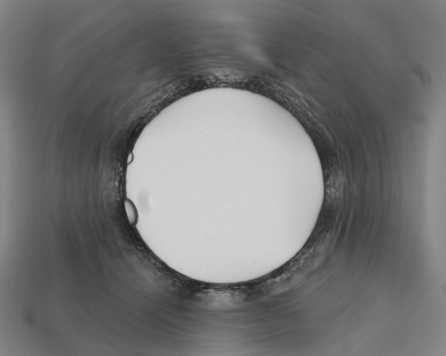 X0000112540464200909281103