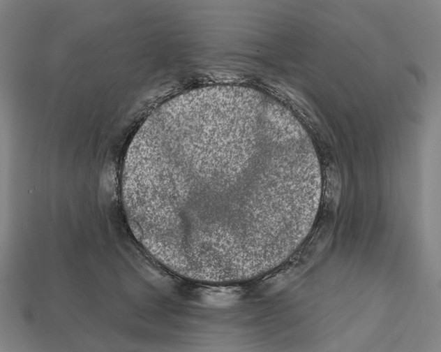 X0000112540465200909281103