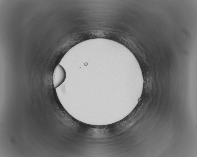 X0000112540466200909281103