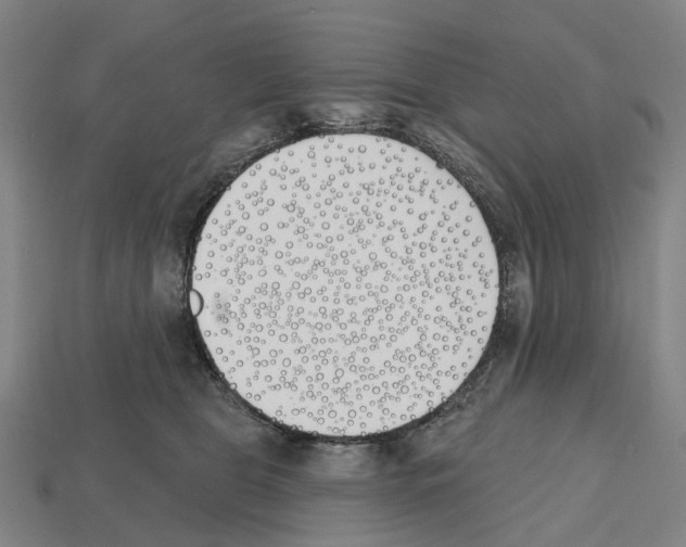 X0000112540469200909281103