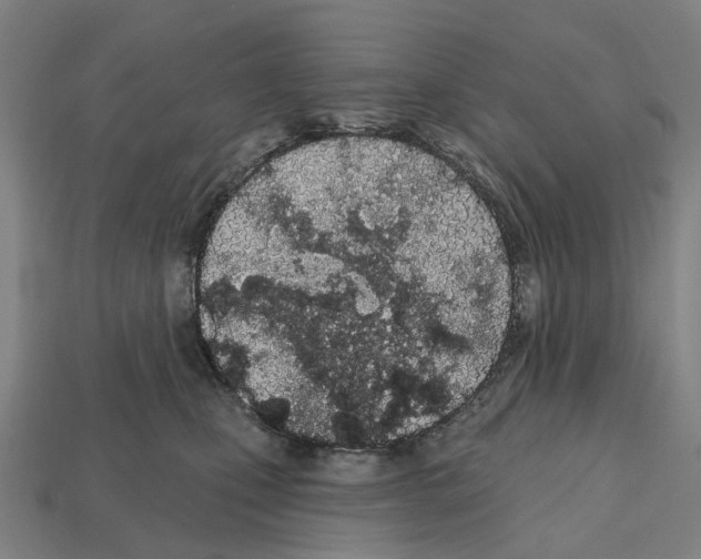 X0000112540471200909281103
