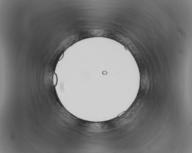 X0000112540473200909281103