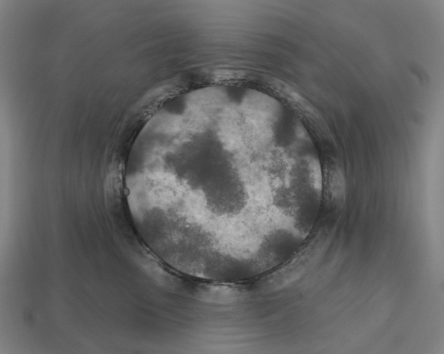 X0000112540475200909281103