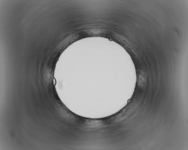 X0000112540476200909281103