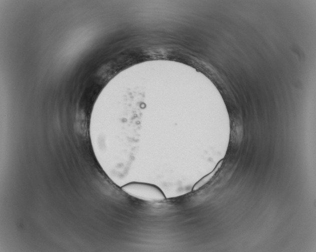 X0000112540477200909281103