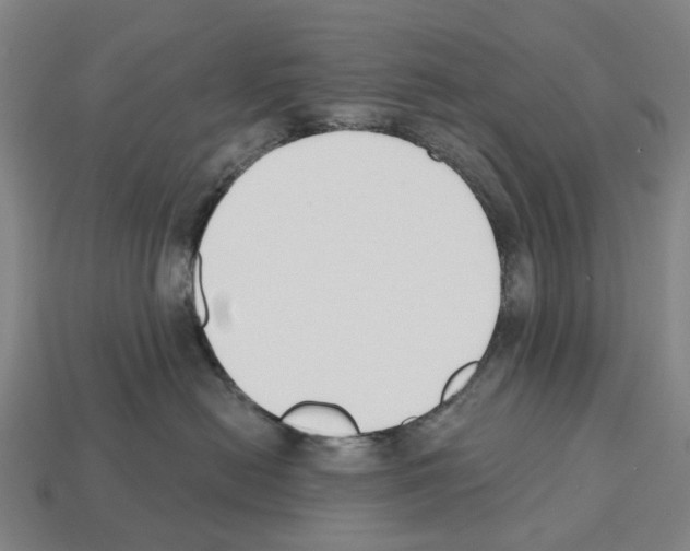 X0000112540478200909281103