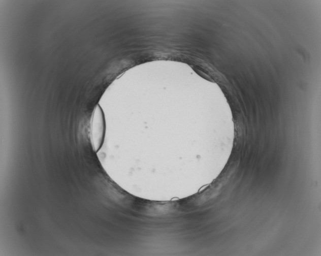 X0000112540479200909281103