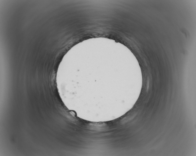 X0000112540480200909281103