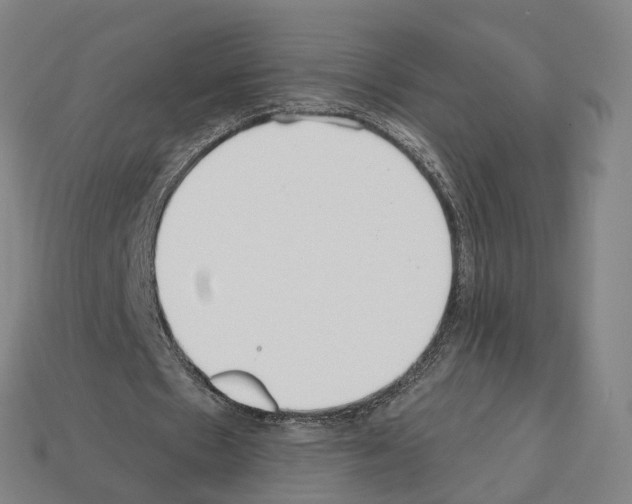 X0000112540481200909281102