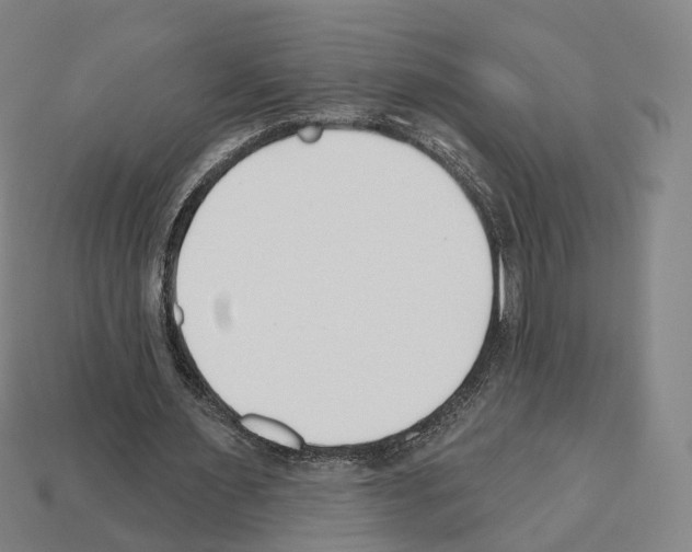 X0000112540483200909281102