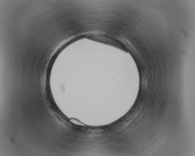 X0000112540484200909281102