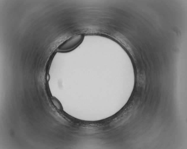 X0000112540485200909281102