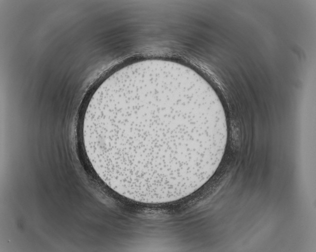 X0000112540487200909281102