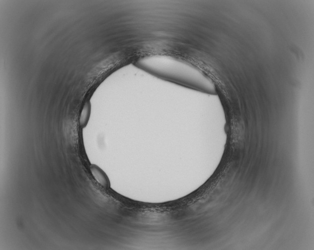 X0000112540489200909281102