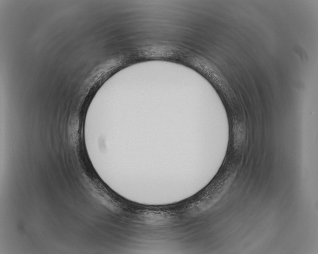 X0000112540490200909281102